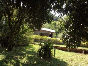 Image 12 - 180258