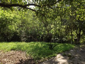 Image 21 - 180258