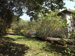 Image 9 - 180258