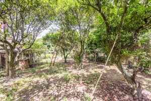 Image 35 - 180767