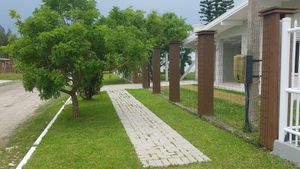 Image 1 - 181643
