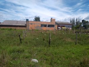 Image 6 - 181808