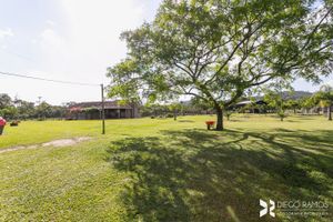 Image 27 - 181926