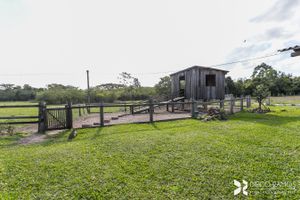 Image 37 - 181926