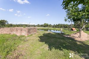 Image 40 - 181926