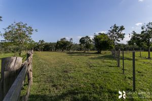 Image 44 - 181926