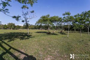 Image 45 - 181926