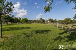 Image 46 - 181926