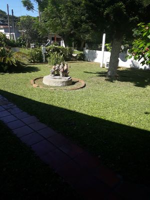 Image 36 - 182731