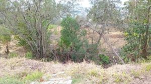 Image 82 - 183048