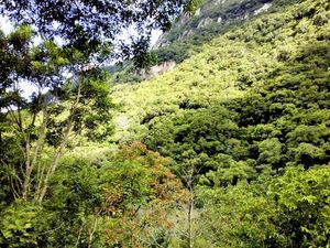 Image 6 - 183358