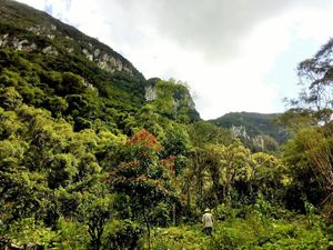 Image 2 - 183358