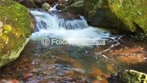 Image 1 - 183358
