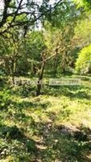 Image 4 - 183358