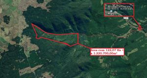 Image 8 - 183358