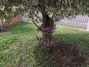 Image 13 - 183422