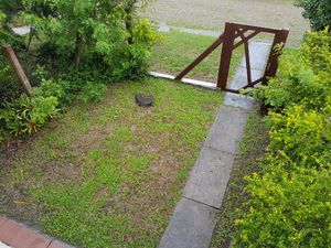 Image 19 - 183803
