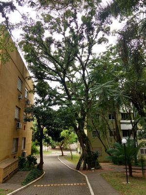 Image 33 - 183940