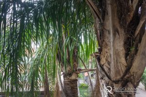 Image 9 - 184086