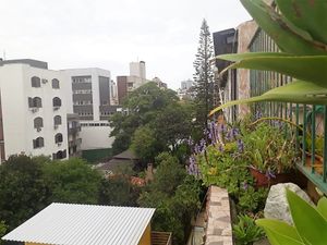 Image 41 - 184564
