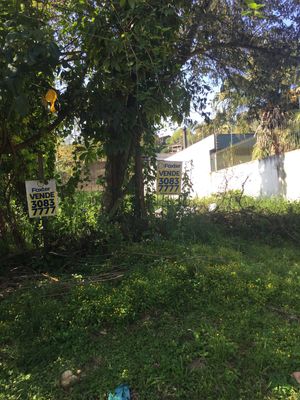 Image 3 - 184656