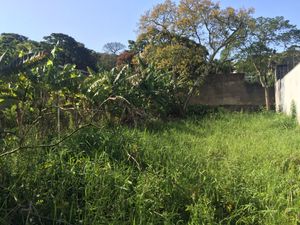 Image 4 - 184656