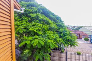 Image 13 - 184689