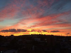 Image 14 - 184732