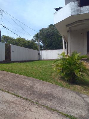 Image 13 - 184819