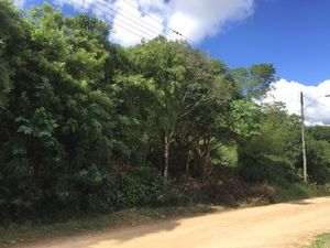 Image 0 - 184995