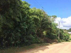 Image 2 - 184995