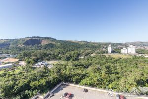Image 12 - 185167