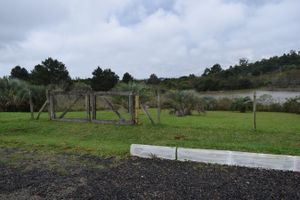 Image 11 - 185204