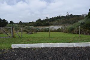 Image 9 - 185204