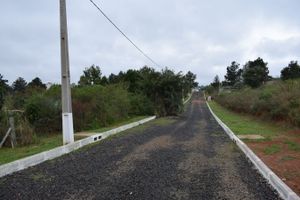 Image 13 - 185204