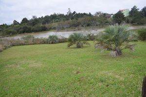 Image 6 - 185204