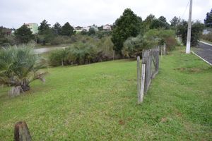 Image 7 - 185204