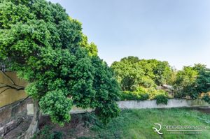 Image 39 - 185233