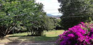 Image 0 - 185274