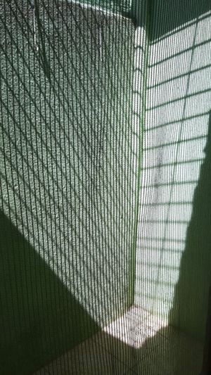 Image 4 - 185331