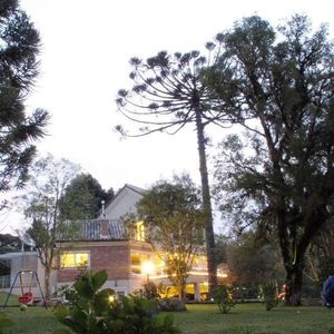 Image 5 - 185390