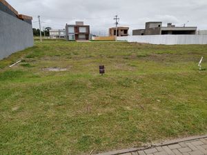 Image 14 - 185560