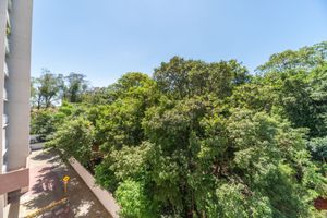 Image 19 - 185768