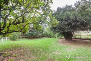 Image 16 - 185889