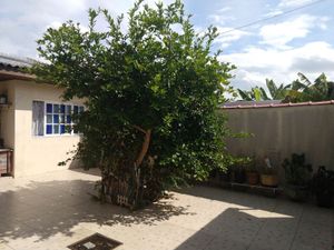 Image 24 - 185968