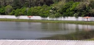 Image 4 - 186782