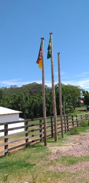 Image 10 - 186782