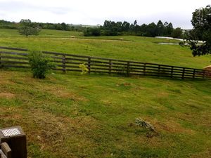 Image 12 - 186782
