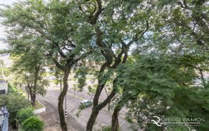 Image 8 - 186805