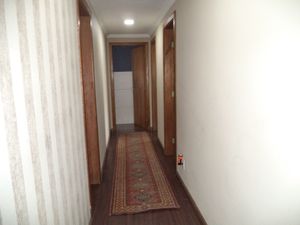 Image 19 - 186897